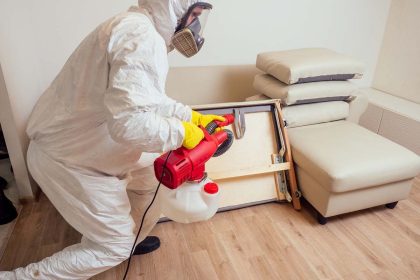 Protecting Your Haven Essential Pest Control Measures